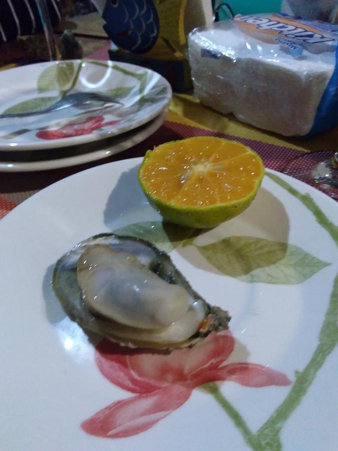 Florianópolis Casa Dos Acores B&B מראה חיצוני תמונה